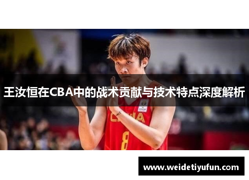 王汝恒在CBA中的战术贡献与技术特点深度解析