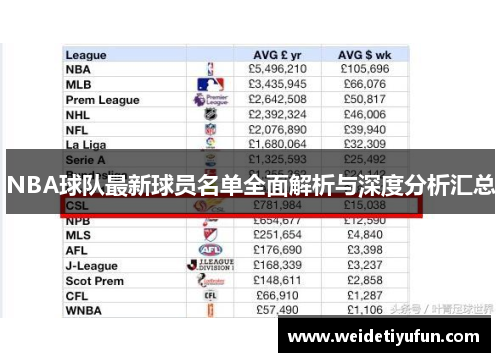 NBA球队最新球员名单全面解析与深度分析汇总