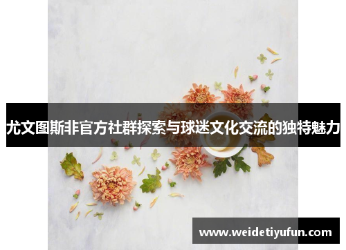 尤文图斯非官方社群探索与球迷文化交流的独特魅力