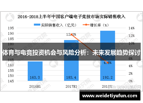 体育与电竞投资机会与风险分析：未来发展趋势探讨